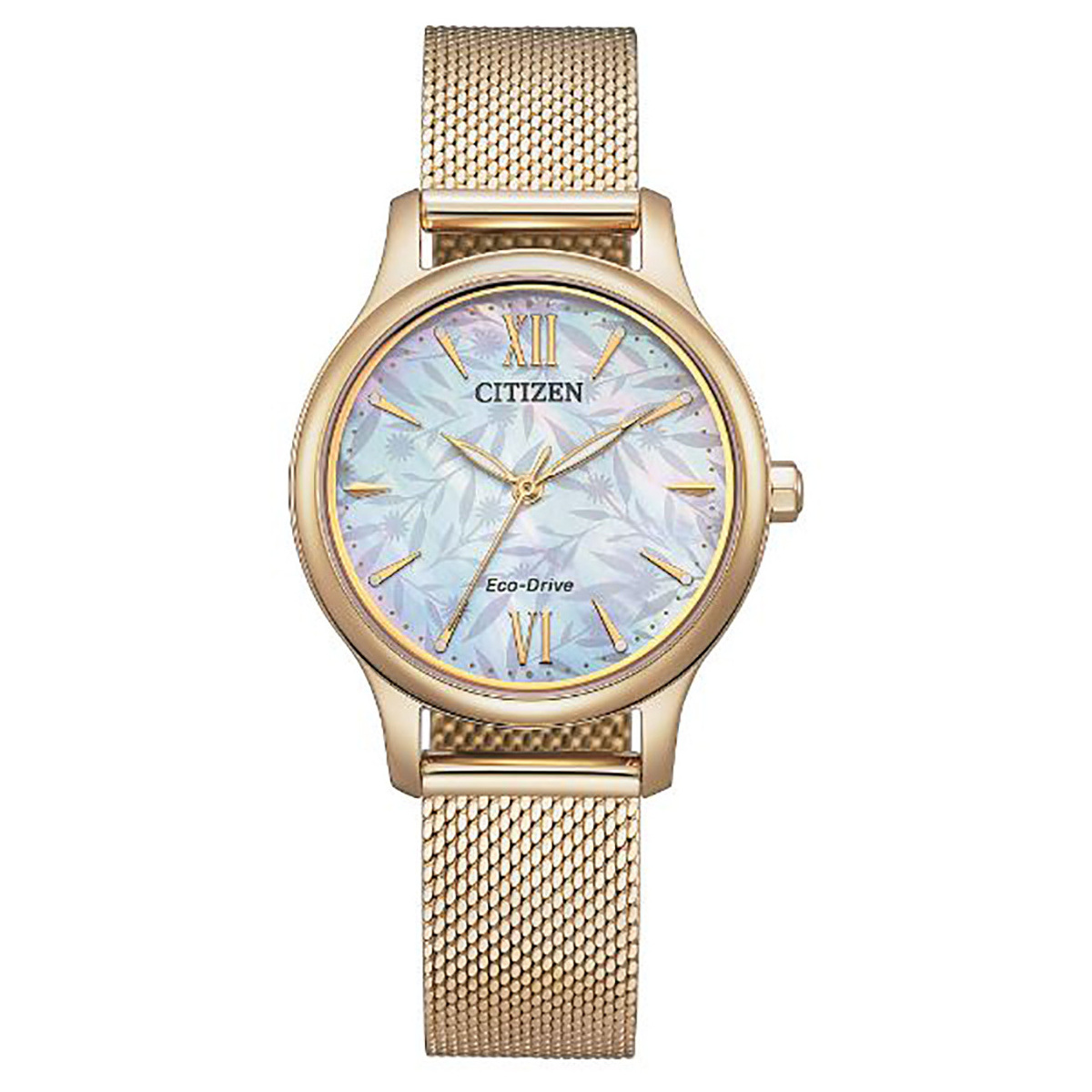 Citizen Orologio donna solotempo Eco Drive Citizen Lady  EM0892-80D