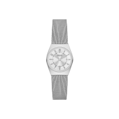 Skagen Orologio analogico Skagen in acciaio silver  SKW3038