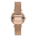 Orologio solo tempo donna Fossil Carlie Mini ES4836