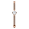 Orologio solo tempo donna Skagen Karolina SKW2980