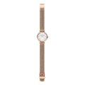 Orologio solo tempo donna Skagen SKW2955