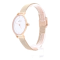 Orologio solo tempo donna Skagen Spring 2015 SKW2151