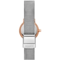 Orologio solo tempo Skagen in acciaio e pietre SKW3025