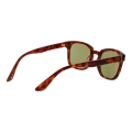 SERENGETI MOD. SS575006 ETHAN