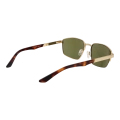 SERENGETI MOD. SS597001 KEAN